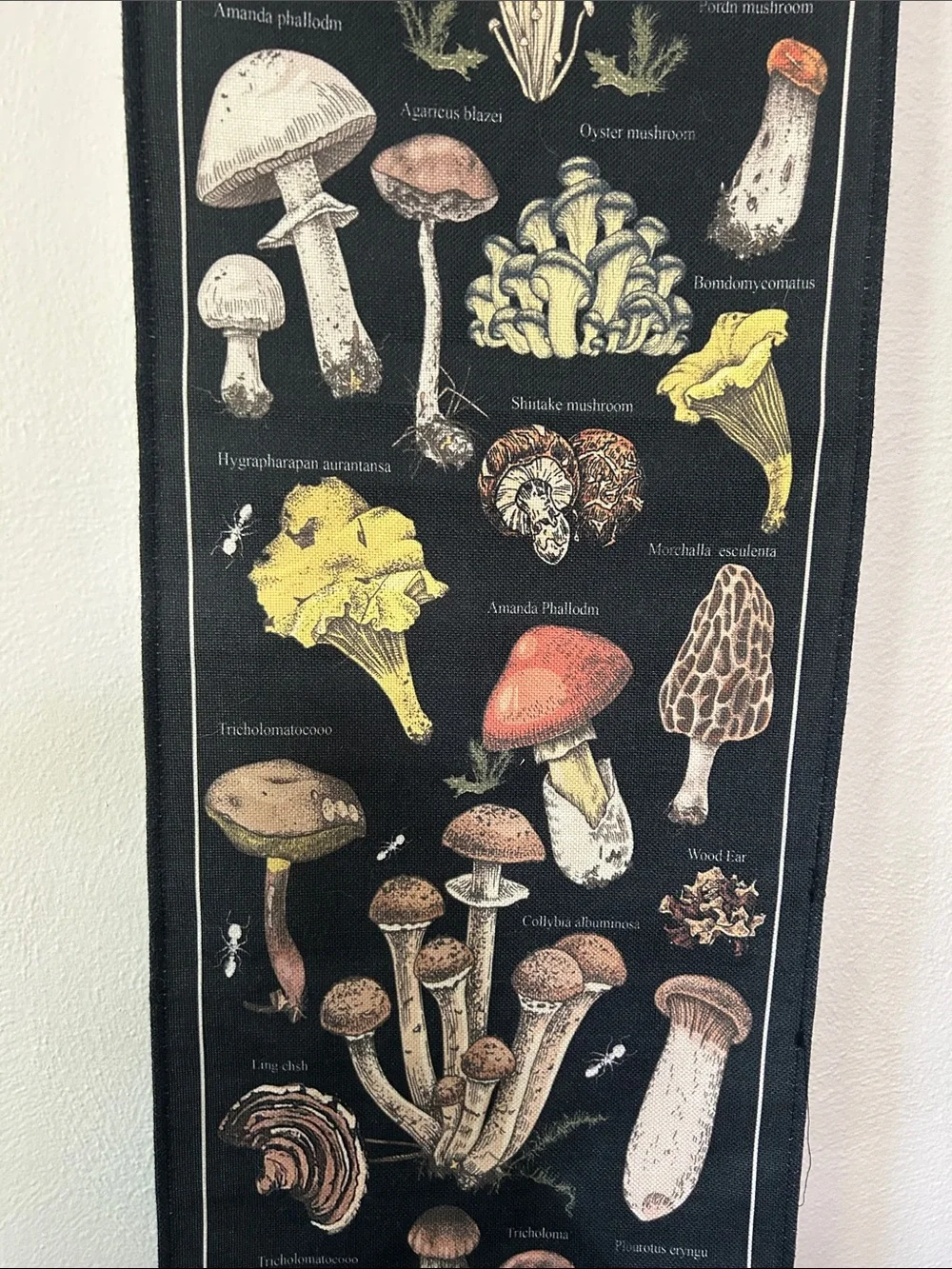 N/A printed mushroom